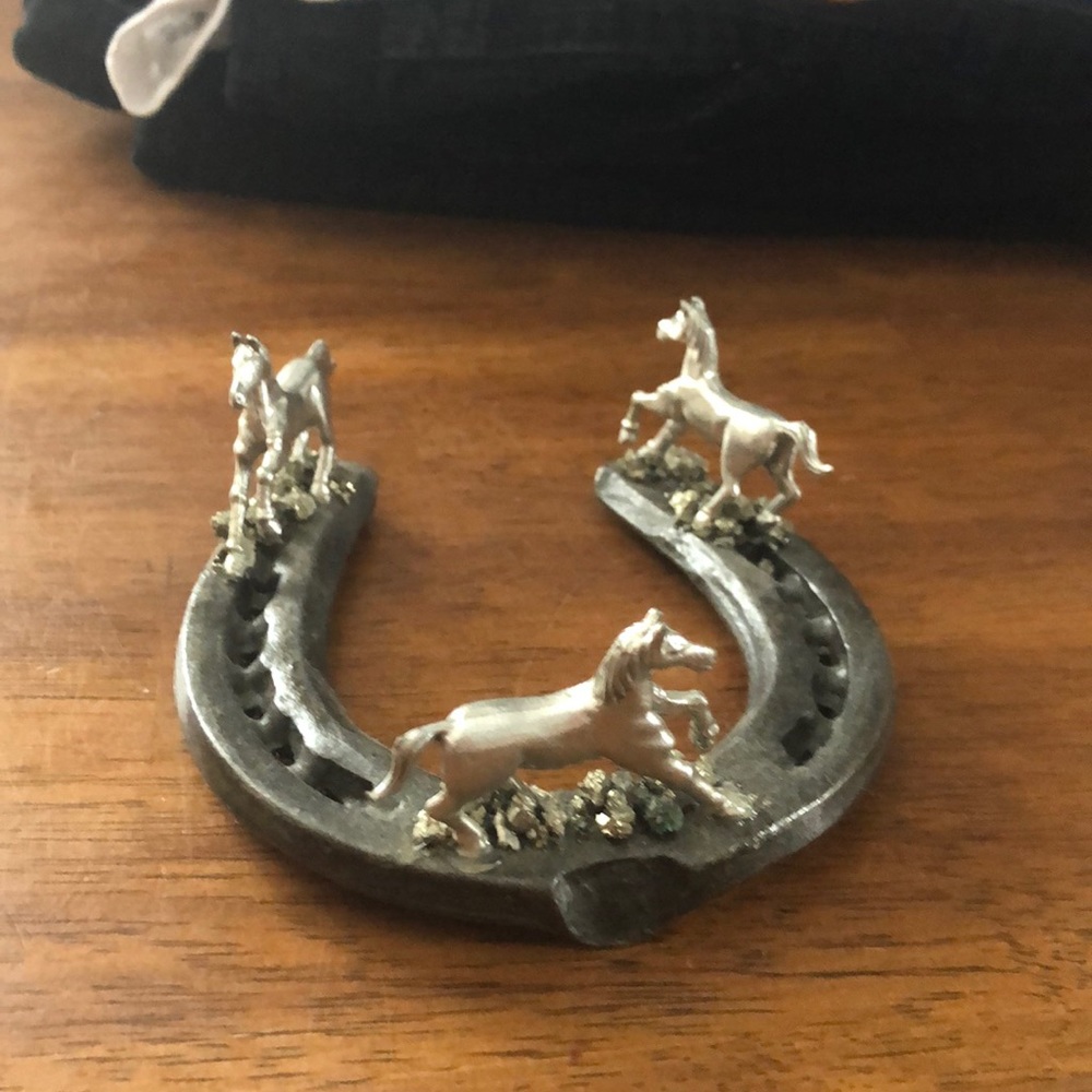 Beautiful Unique Horseshoe